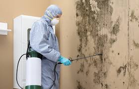 Mold Removal for HVAC Installations in Jasper, TX